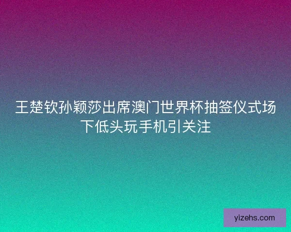 王楚钦孙颖莎出席澳门世界杯抽签仪式场下低头玩手机引关注